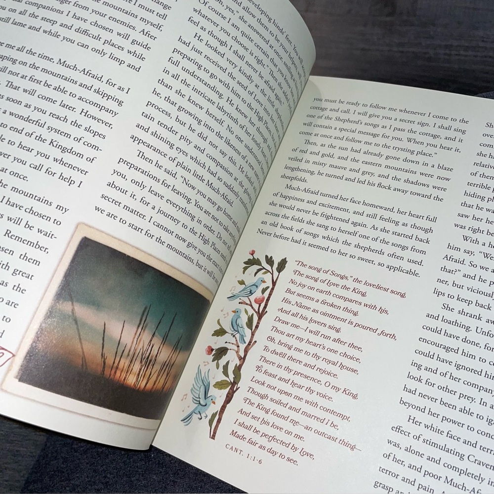 Hinds' Feet on High Places: An Engaging Visual Journey -- Hannah Hurnard NEW - Picture 9 of 11